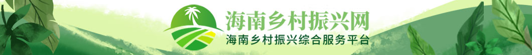 海南乡村振兴网